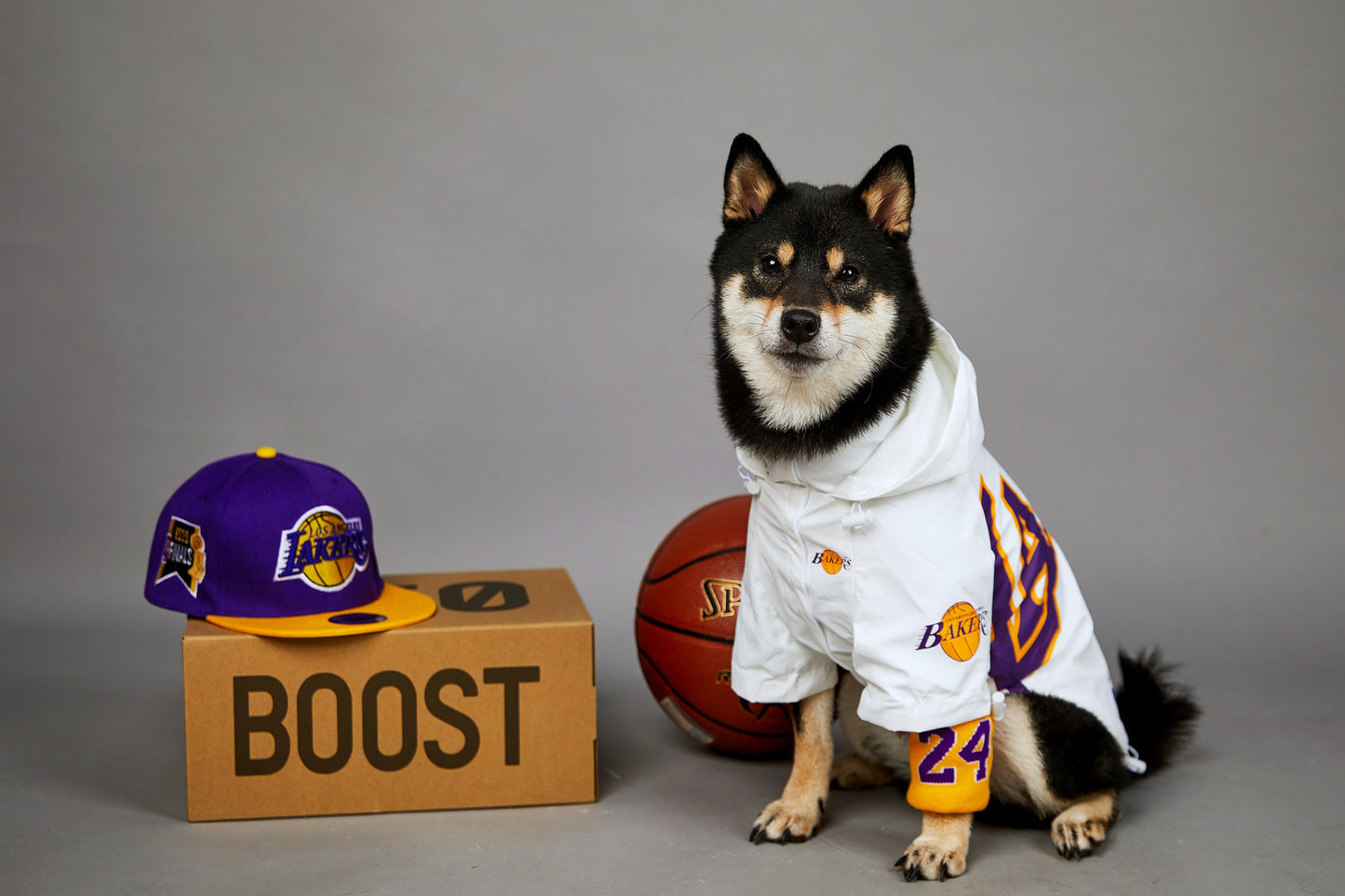 38895960-9ba2-4ec2-bd96-f74ba08a7da1