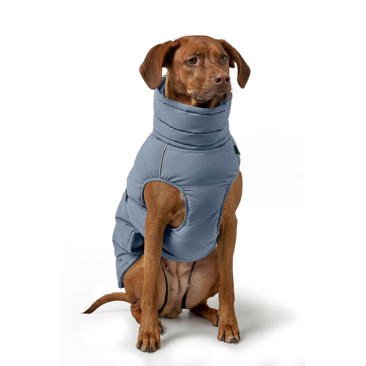 Pet's clothing Hunter PAXSON Blue Polyester-1