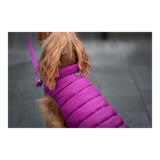 Dog Coat Red Dingo Puffer Pink/Purple 30 cm-1