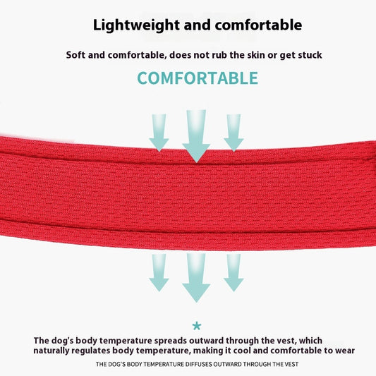 d90d99a9-fbf8-497c-b721-21299af6a38c