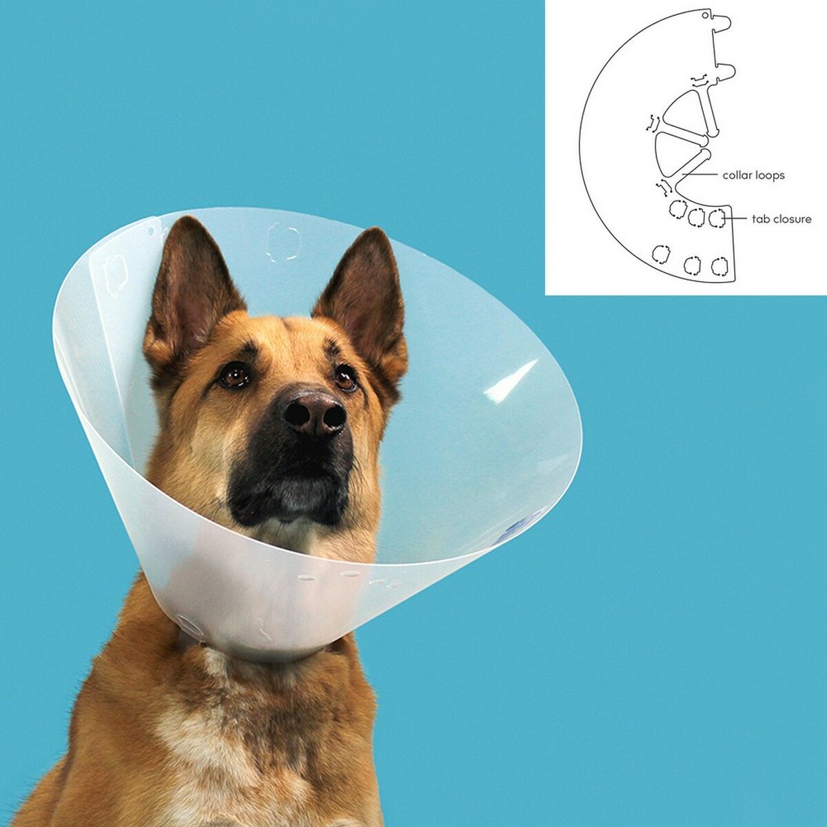 Elizabethan Dog Collar KVP Quick Fit Transparent (33-40 cm)-1