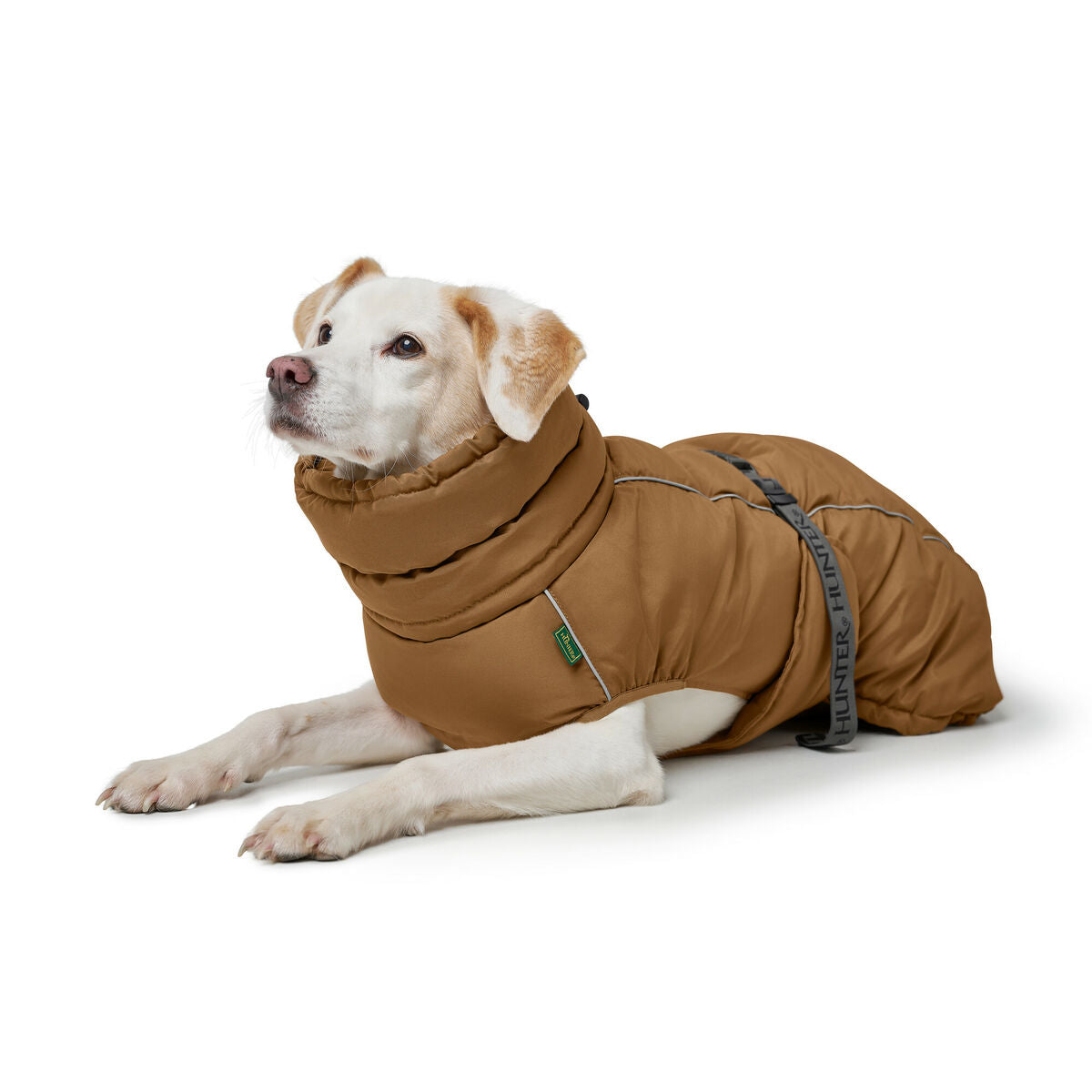Pet's clothing Hunter PAXSON Brown Polyester-4