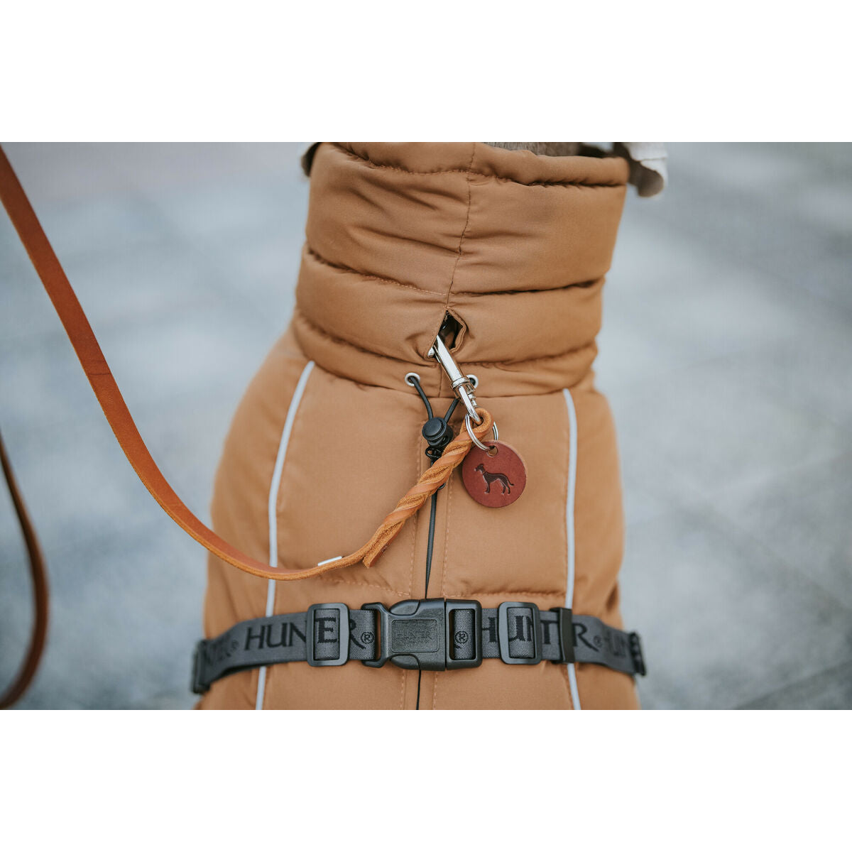 Pet's clothing Hunter PAXSON Brown Polyester-1
