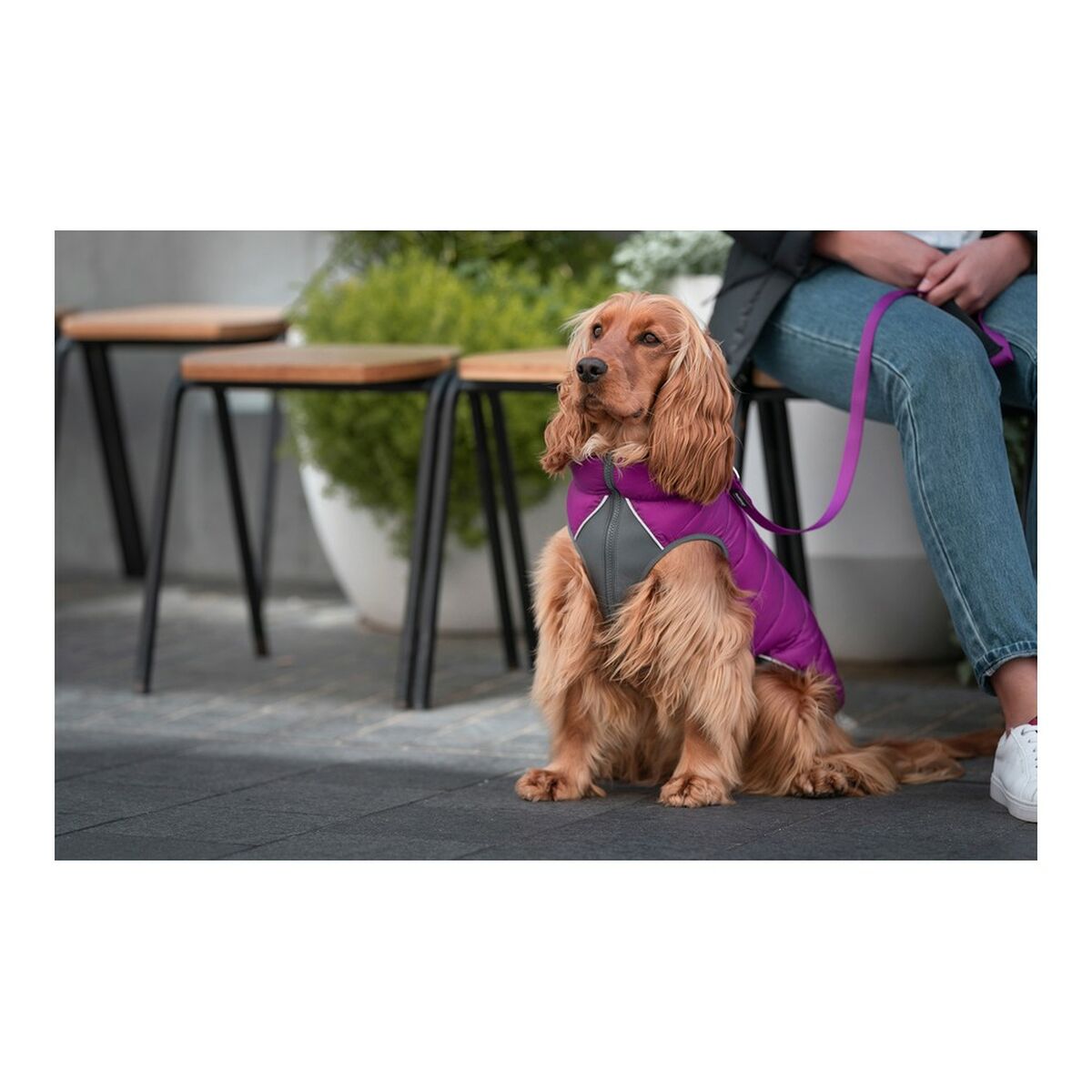 Dog Coat Red Dingo Puffer Pink/Purple 30 cm-4
