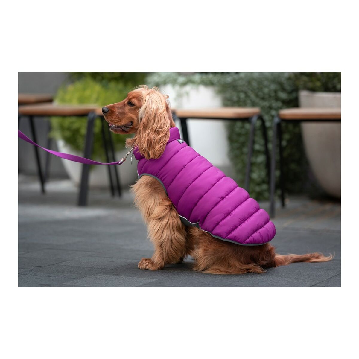Dog Coat Red Dingo Puffer Pink/Purple 30 cm-3