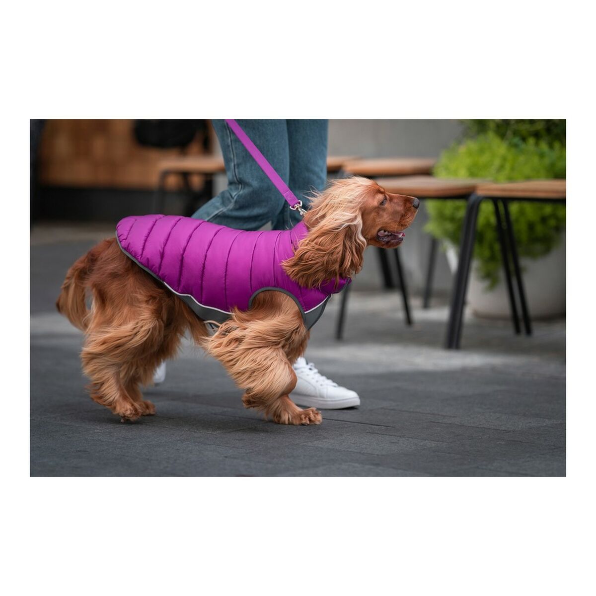 Dog Coat Red Dingo Puffer Pink/Purple 30 cm-2
